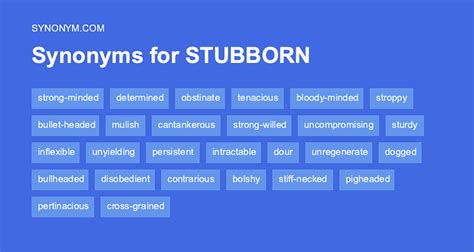 negative synonym for stubborn